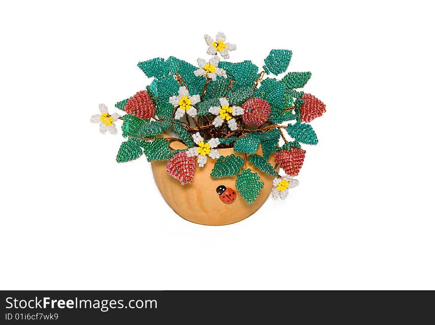 Flowering strawberry from a bead on a white background