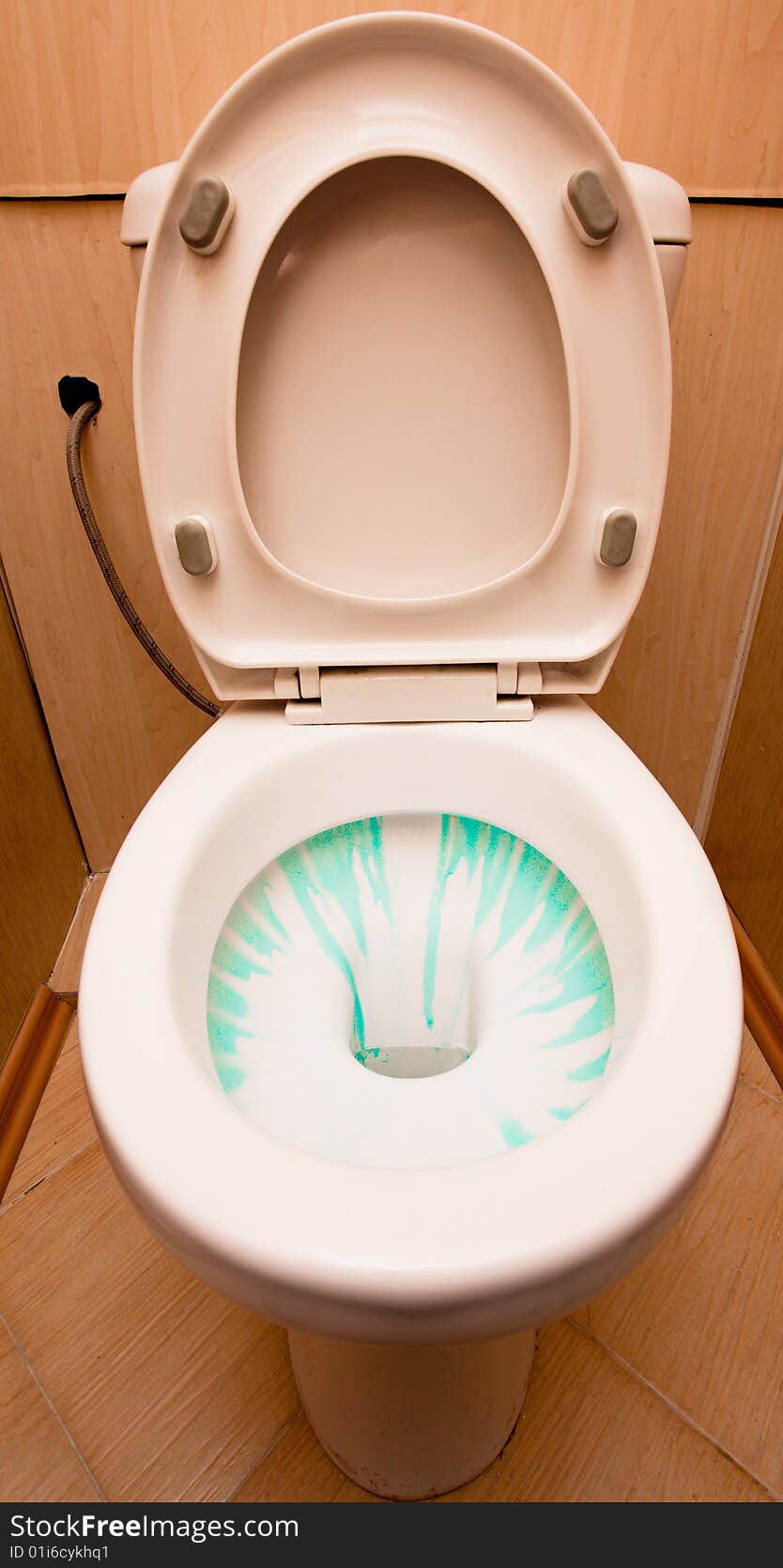 White lavatory pan with green cleaner in it. White lavatory pan with green cleaner in it