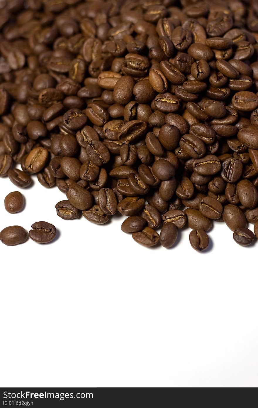 Coffee beans on white background