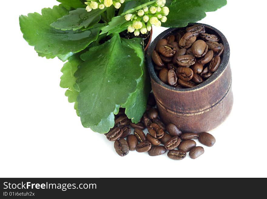 Roasted coffee beans isolated