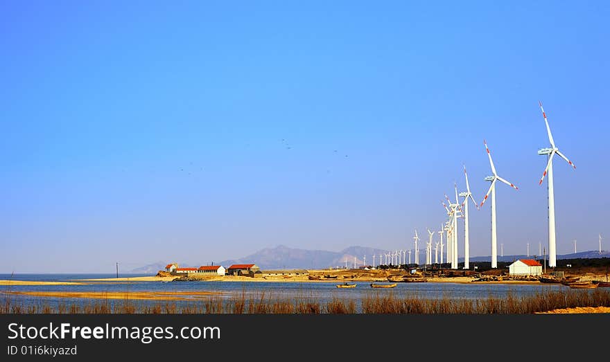 Seashore wind-driven generator