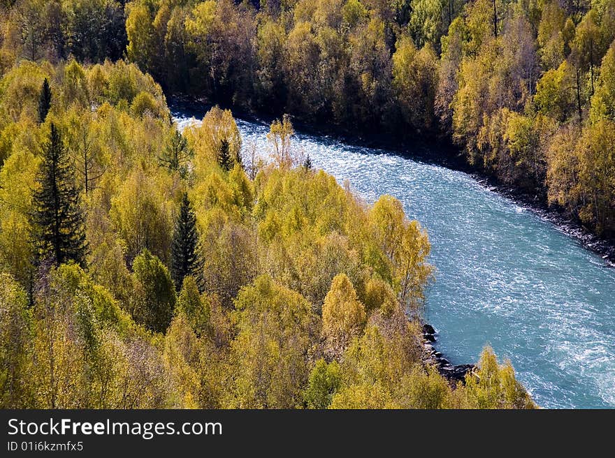 River with forest