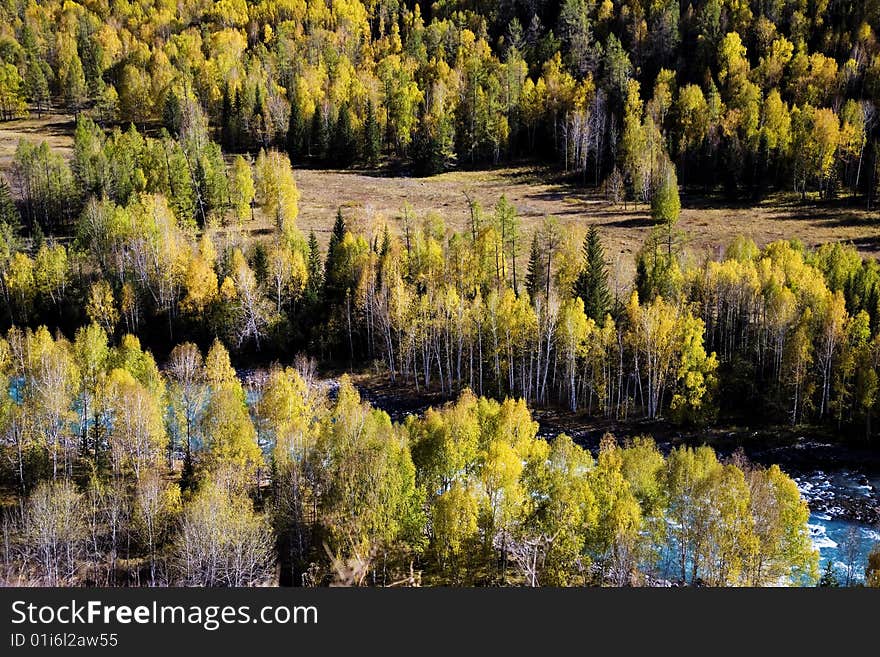 The scene of sinkiang .looks very beautiful . The scene of sinkiang .looks very beautiful .