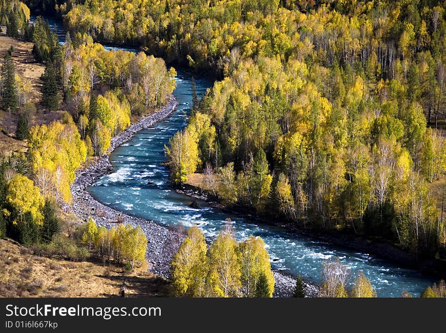 Jade river through the forest in xinjiang province,china. Jade river through the forest in xinjiang province,china.