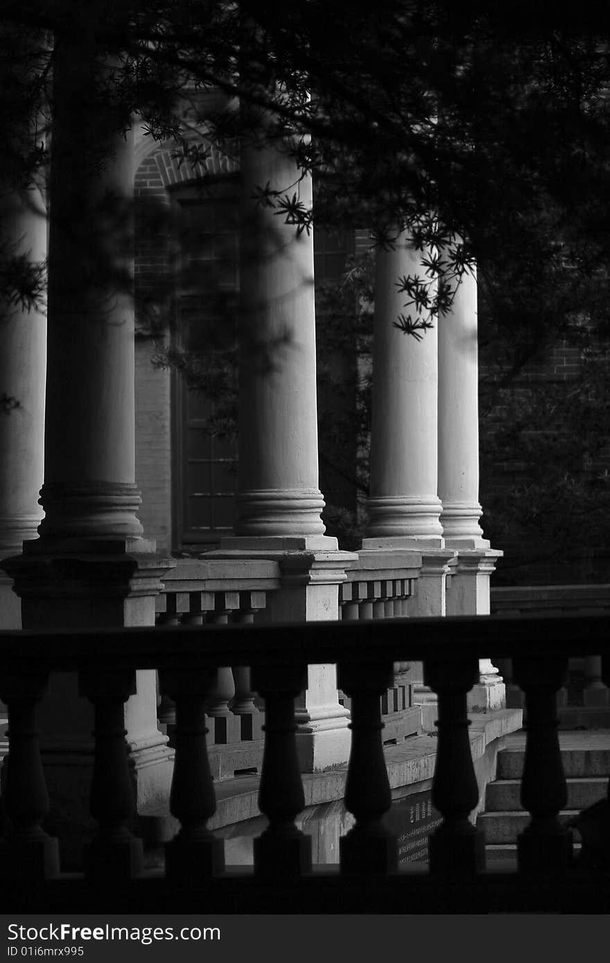 Column And Leaf