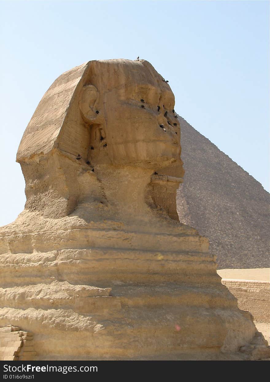 View of the Sphinx in front of one of the pyramids