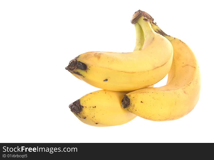 Bunch Of Bananas