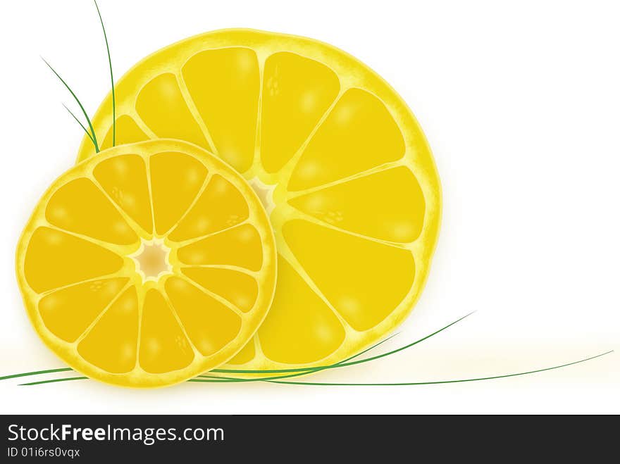 Sunny summer orange fruit illustration on white background. Sunny summer orange fruit illustration on white background.