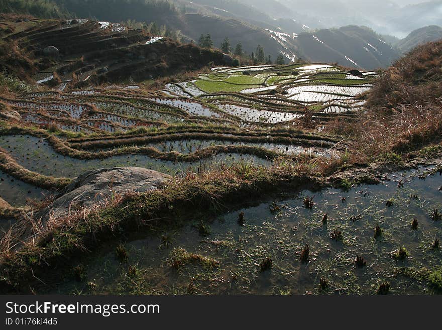 This was during the sun rise at Longsheng Village with the light just hitting the water on the rice paddies.