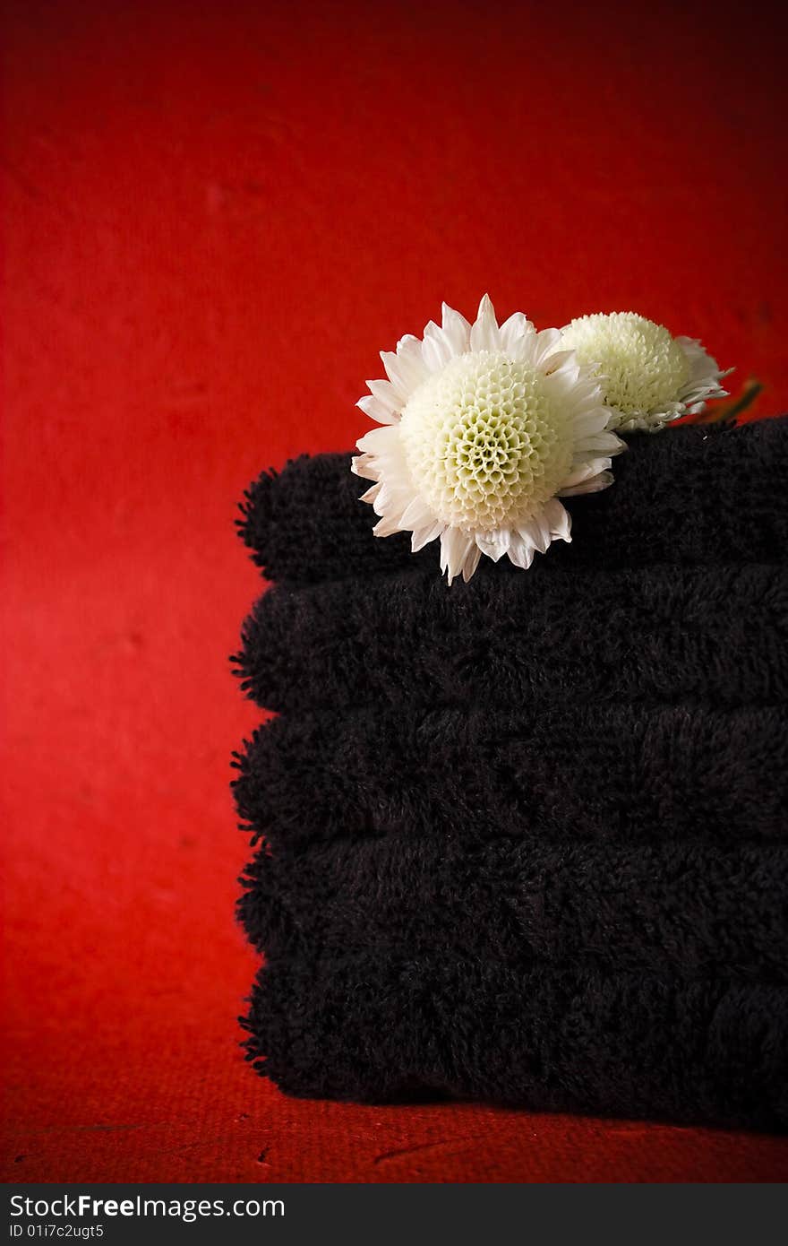 Alternative bathroom: black towels with flower on a red background. Alternative bathroom: black towels with flower on a red background.