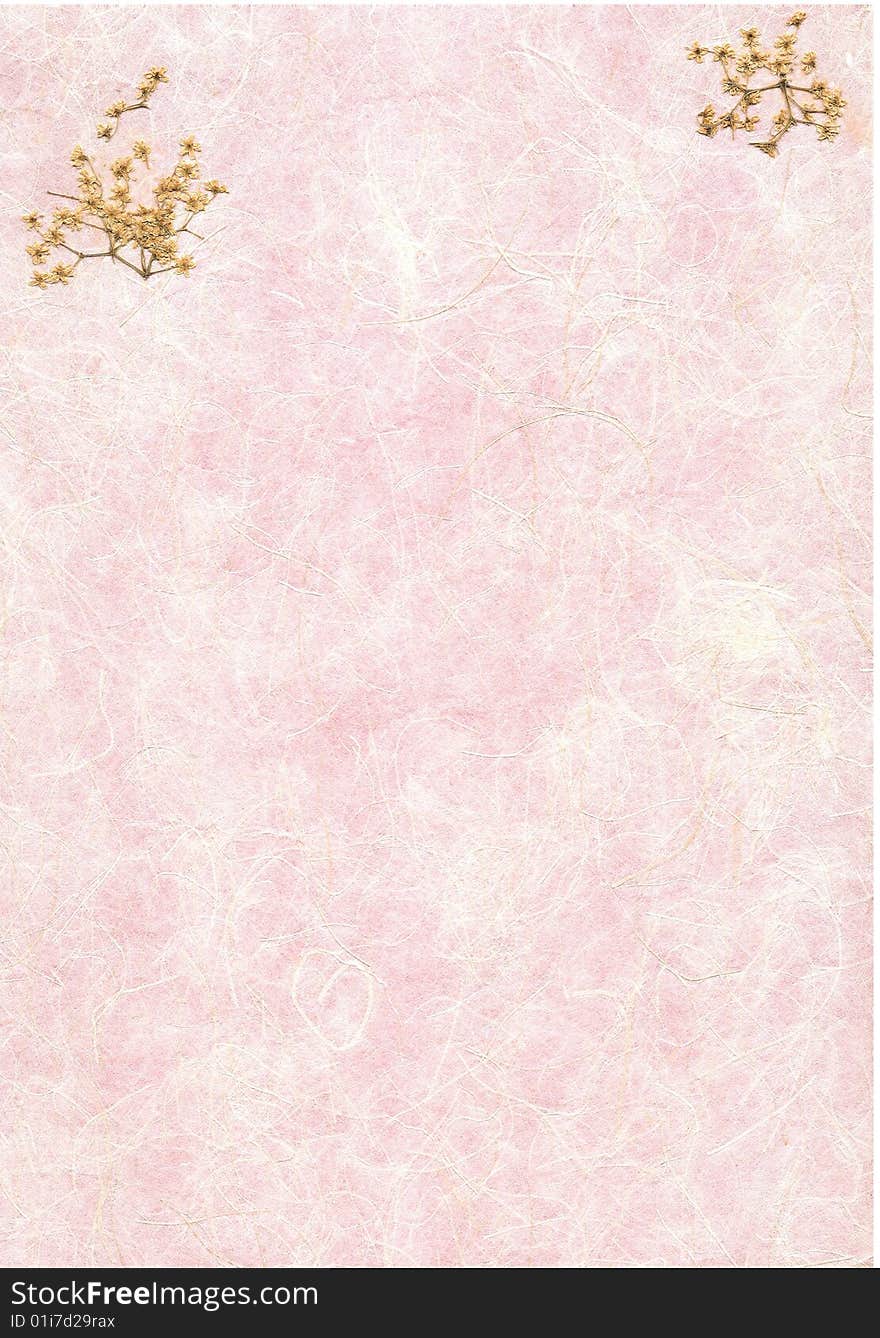 Scan of a old parchment with dried flowers.