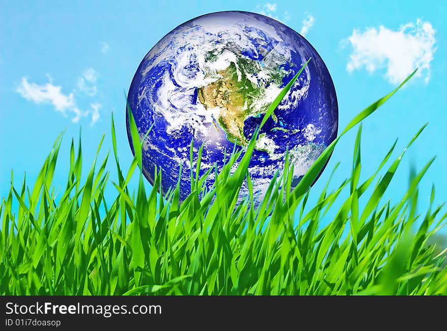 Earth globe in green grass conceptual