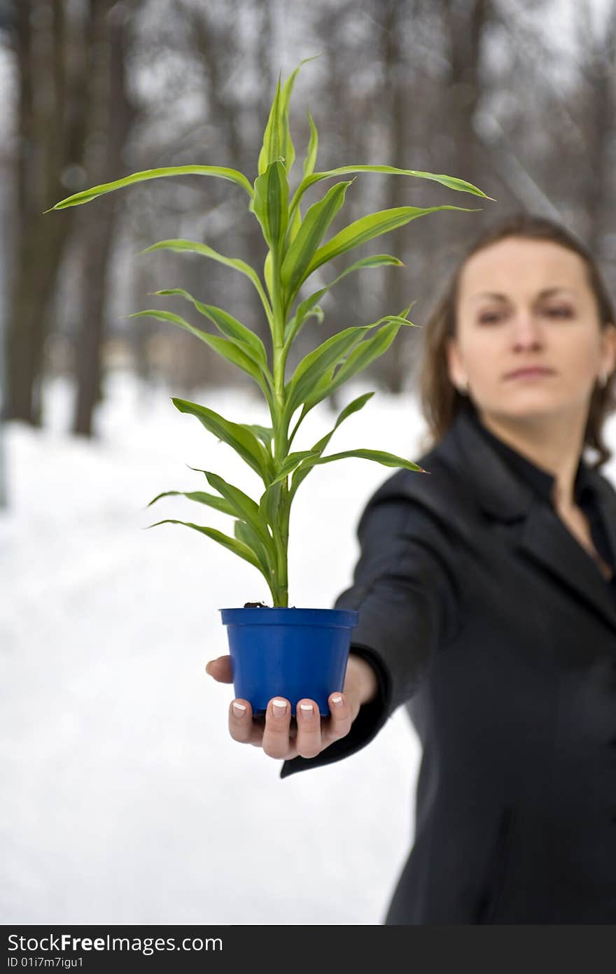 Girl with the green plant