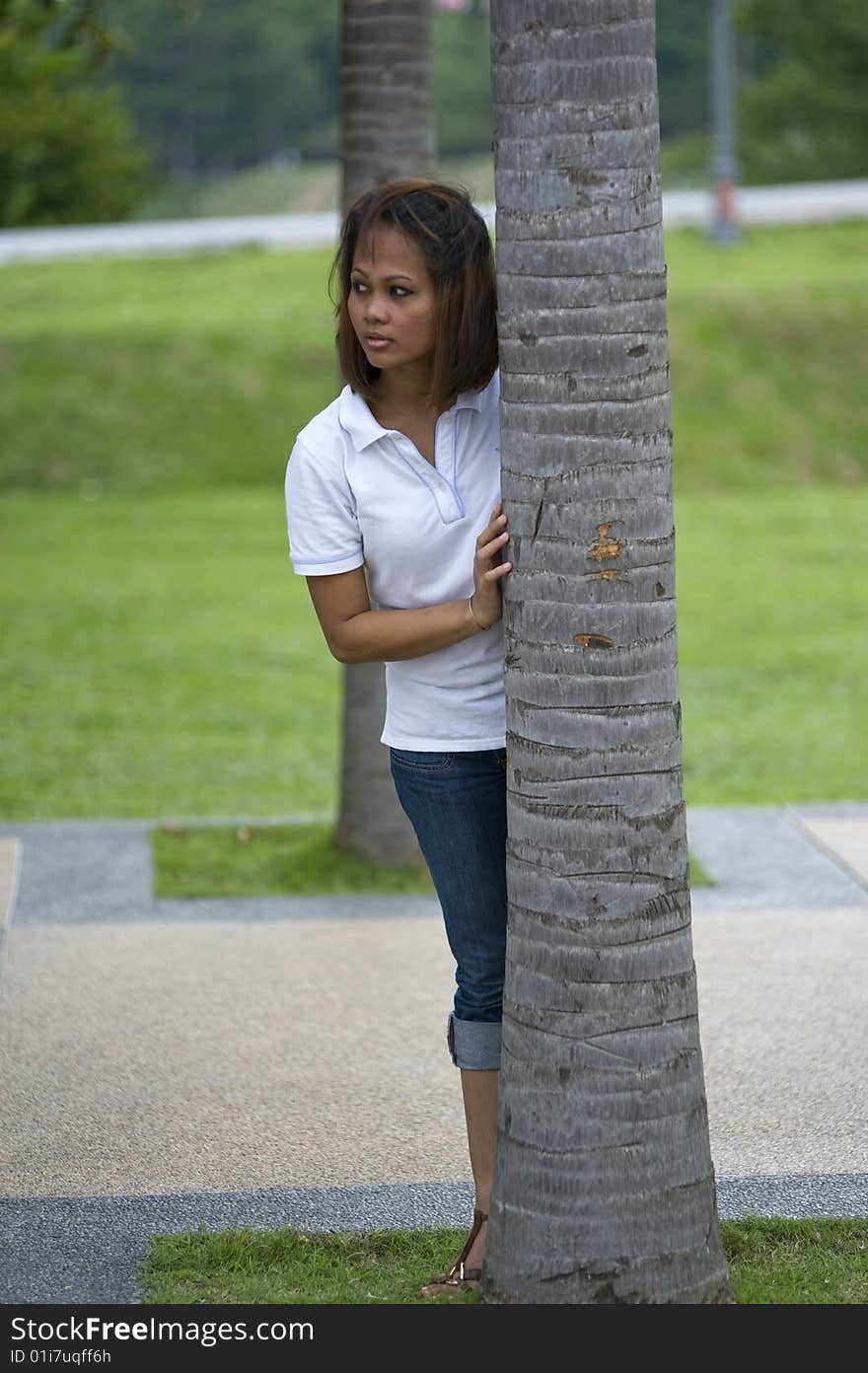 A female hiding behind a palm tree in the park. A female hiding behind a palm tree in the park.