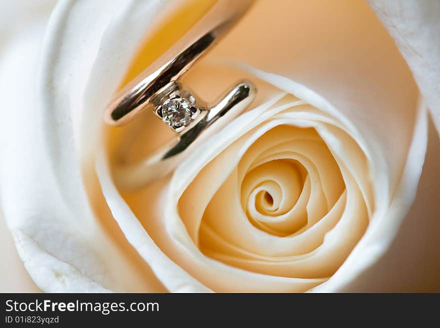 Wedding ring inside white rose