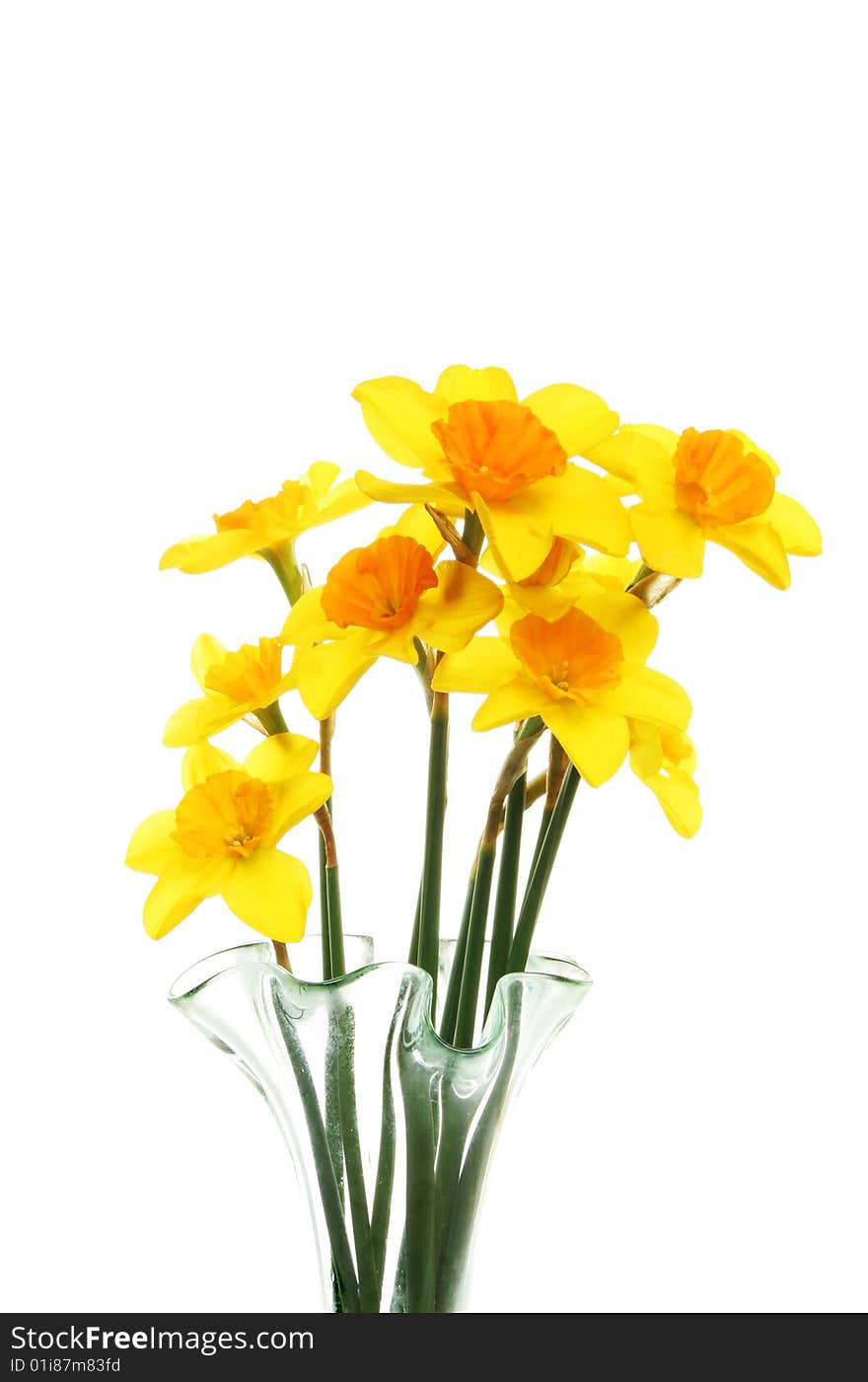 Daffodils In Vase