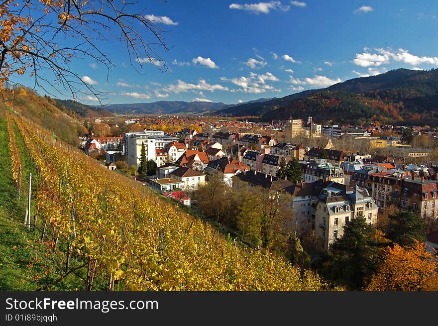 Cityview with blue sky and vineyard