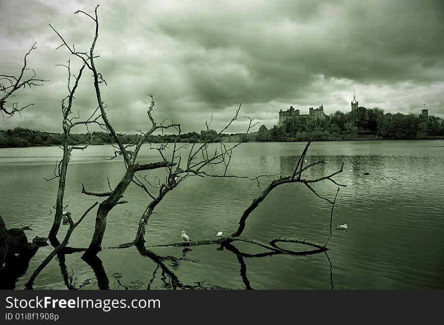 Taken from the west side of the Linlithgow Loch. Taken from the west side of the Linlithgow Loch.