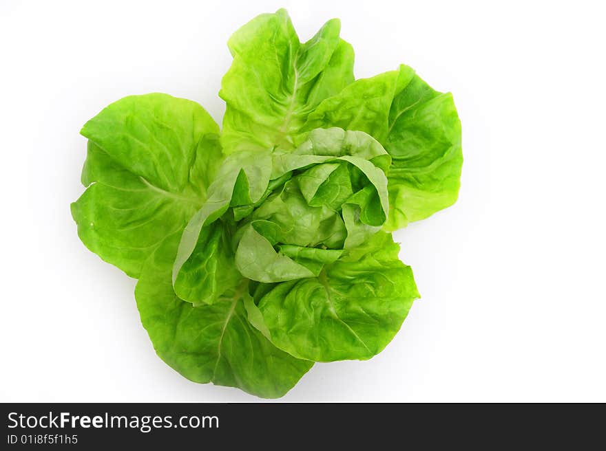 Green salad on white background