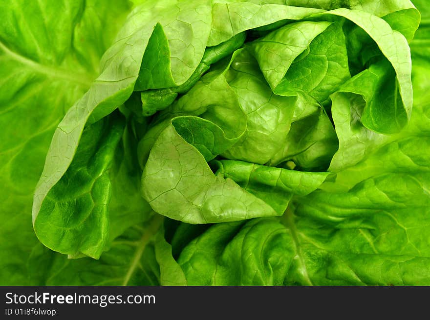 Close up of green salad