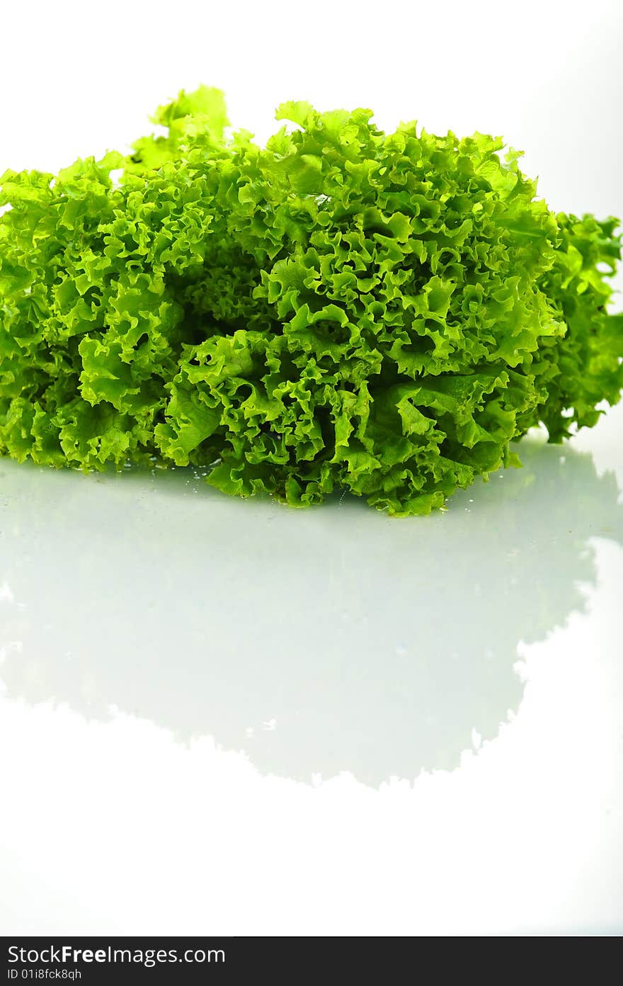 Green salad on white background