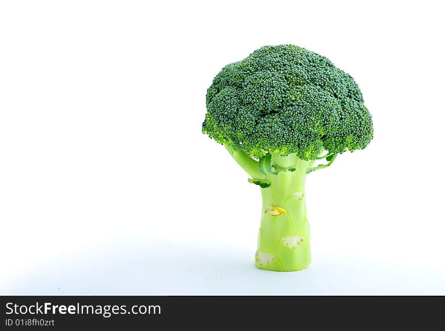 Broccoli tree