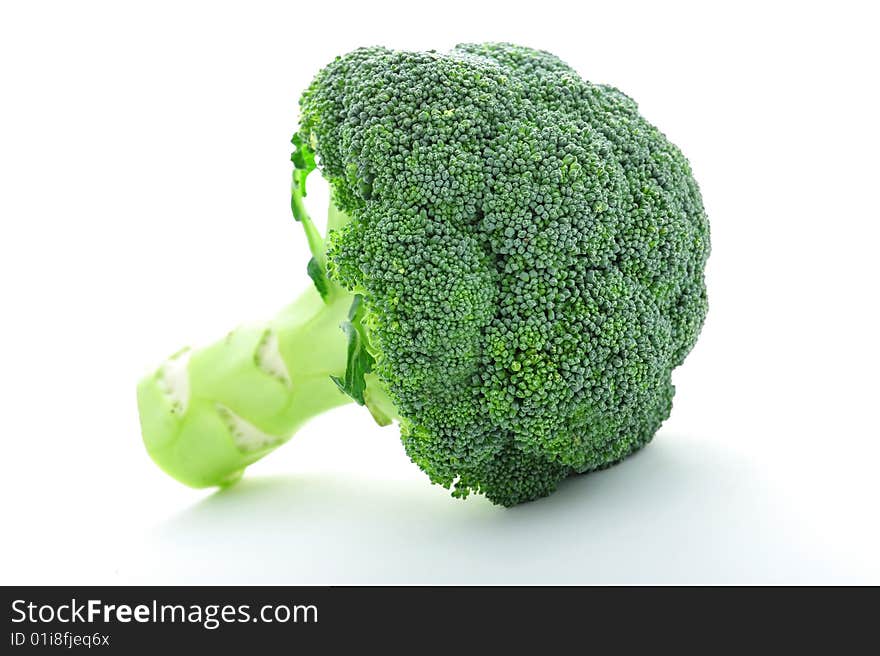 A simple broccoli on white background