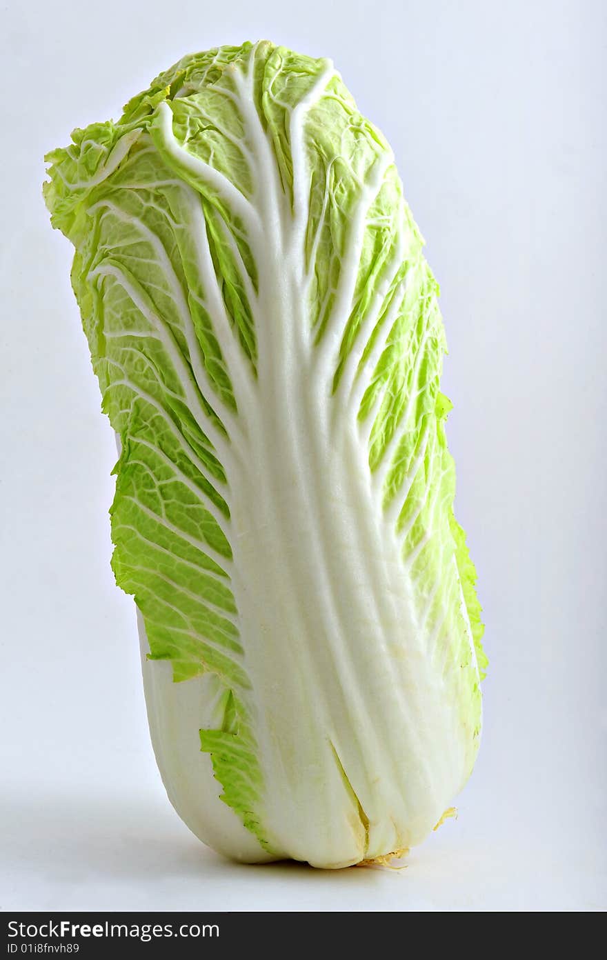 Chinese cabbage