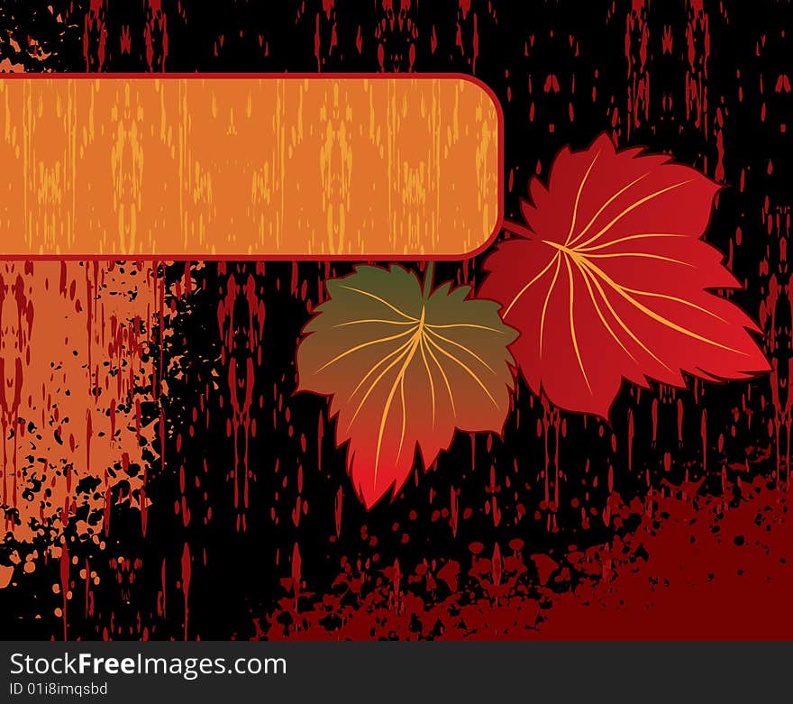 Beautiful flowers frame, floral background. Beautiful flowers frame, floral background