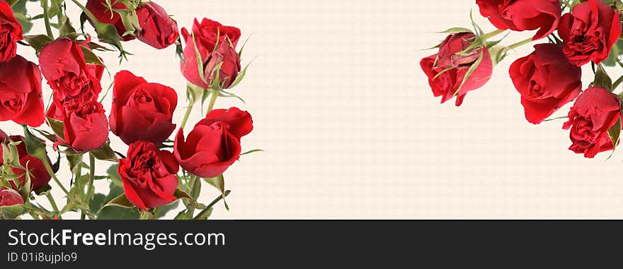 Background with a bouquet of roses of red color and a place for the text. Background with a bouquet of roses of red color and a place for the text.