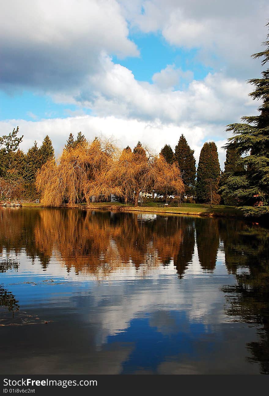 Refective autumn pond