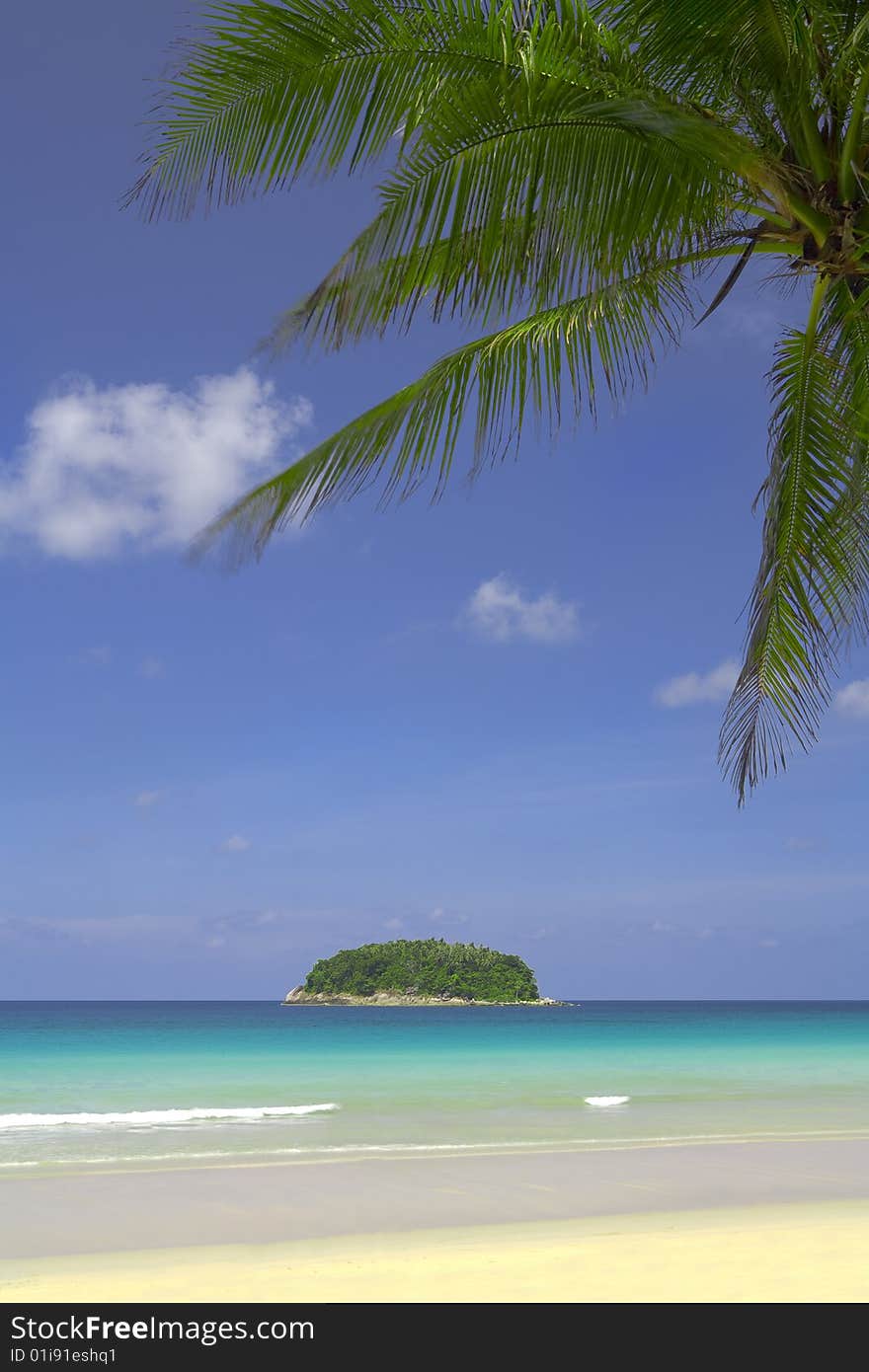 View of nice tropical empty sandy beach with some palm. View of nice tropical empty sandy beach with some palm