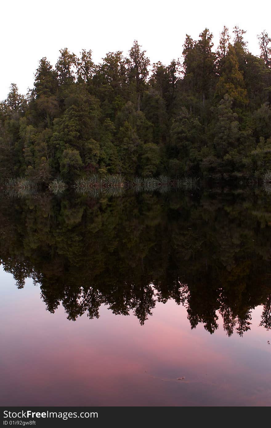 A perfect reflection of trees on a lake at sunset/twilight. A perfect reflection of trees on a lake at sunset/twilight.