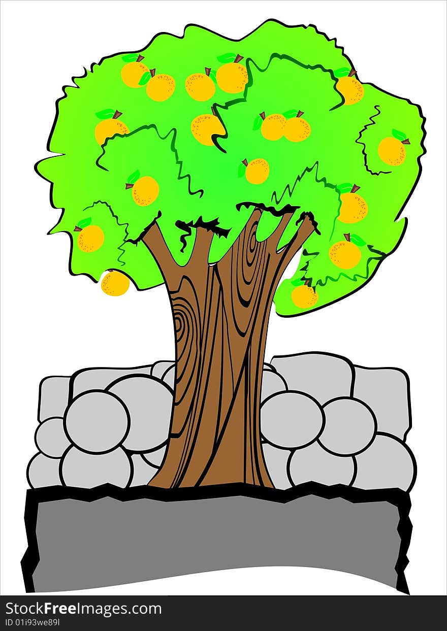 Vector Oranges Tree