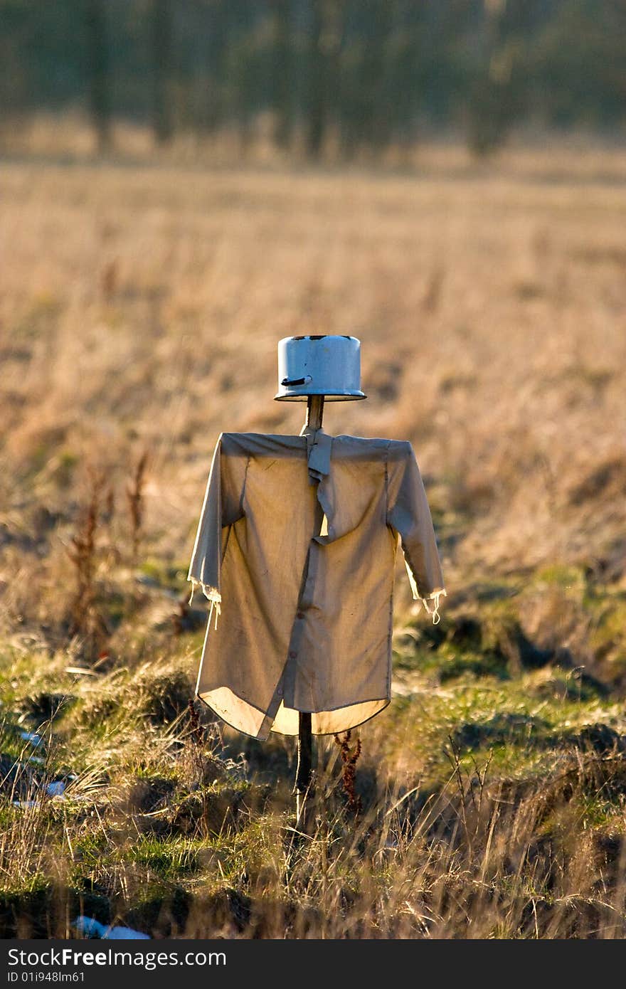 Bird ghost on field near forest