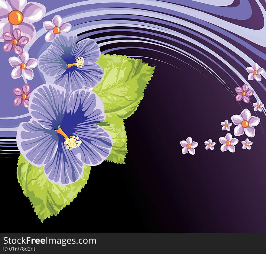 Floral Background, beautiful floral illustration