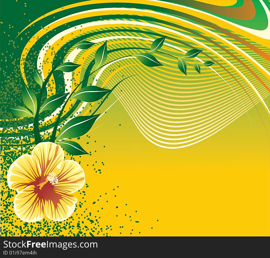 Floral Background, beautiful floral illustration