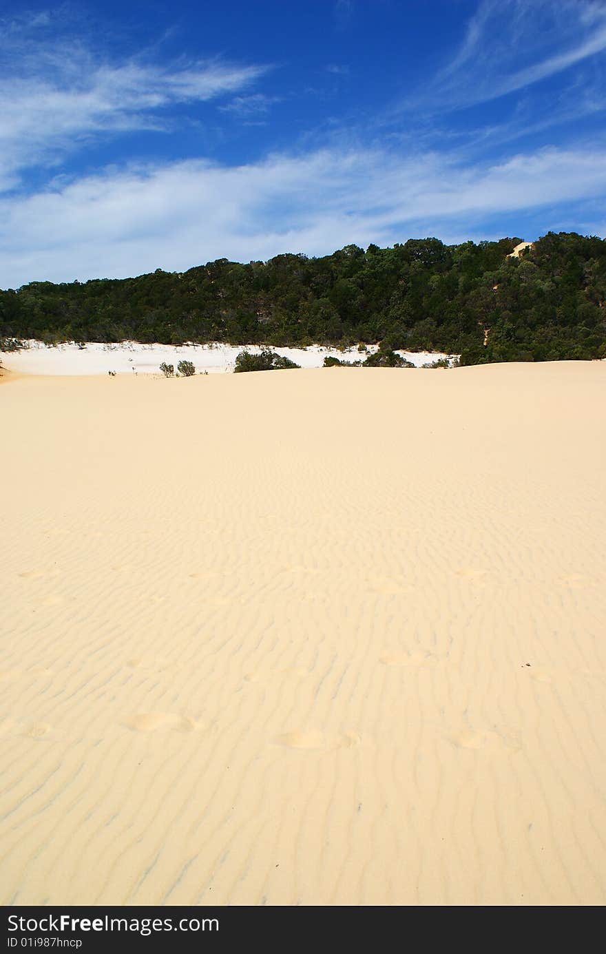 The dunes at lake wabby, fraser island. The dunes at lake wabby, fraser island