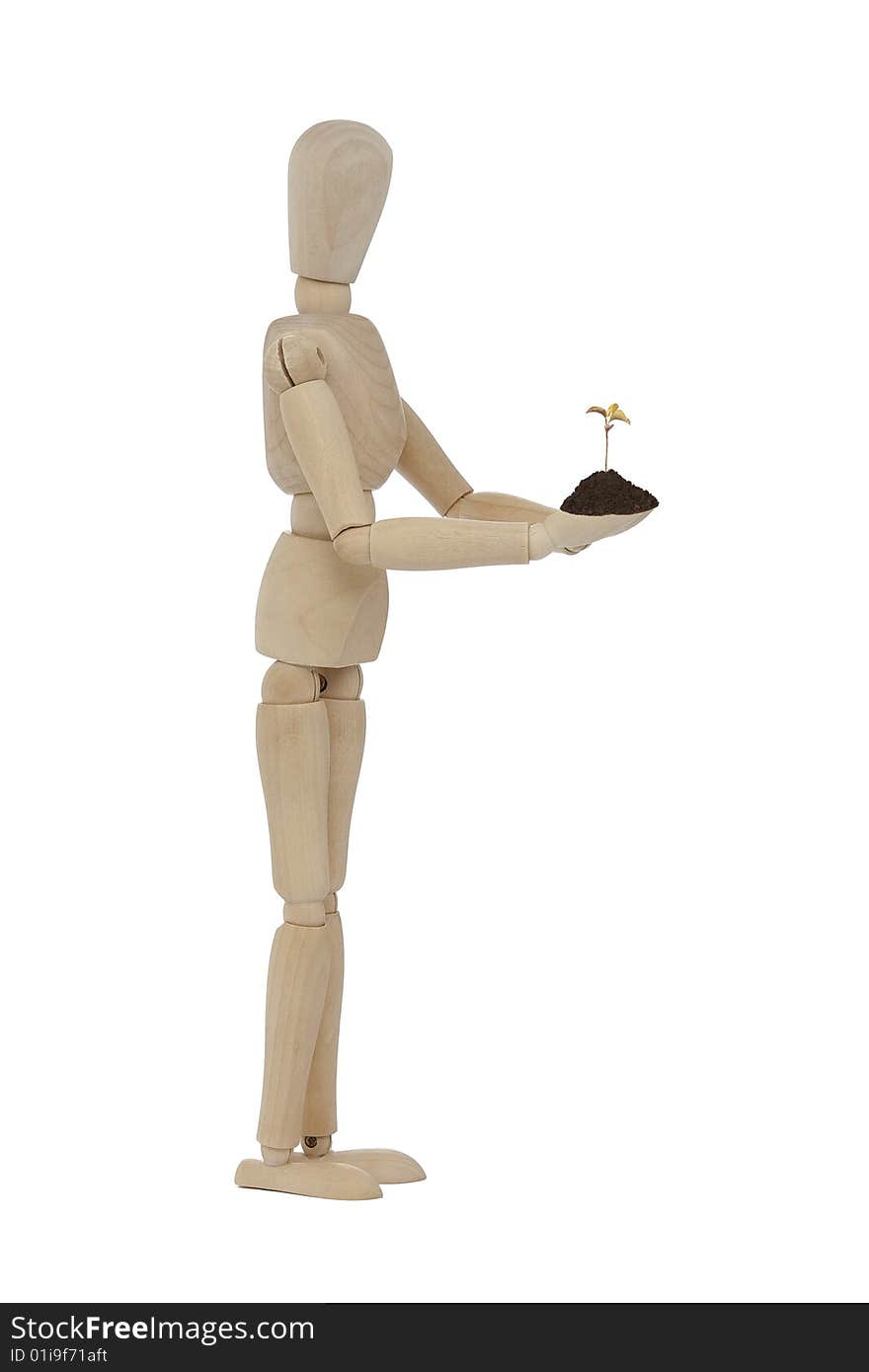 Wooden man standing with small tree in the hands. Wooden man standing with small tree in the hands