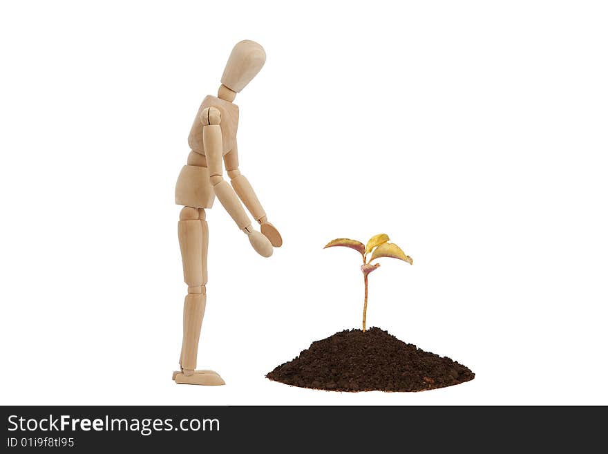 Wooden man with small tree. Wooden man with small tree