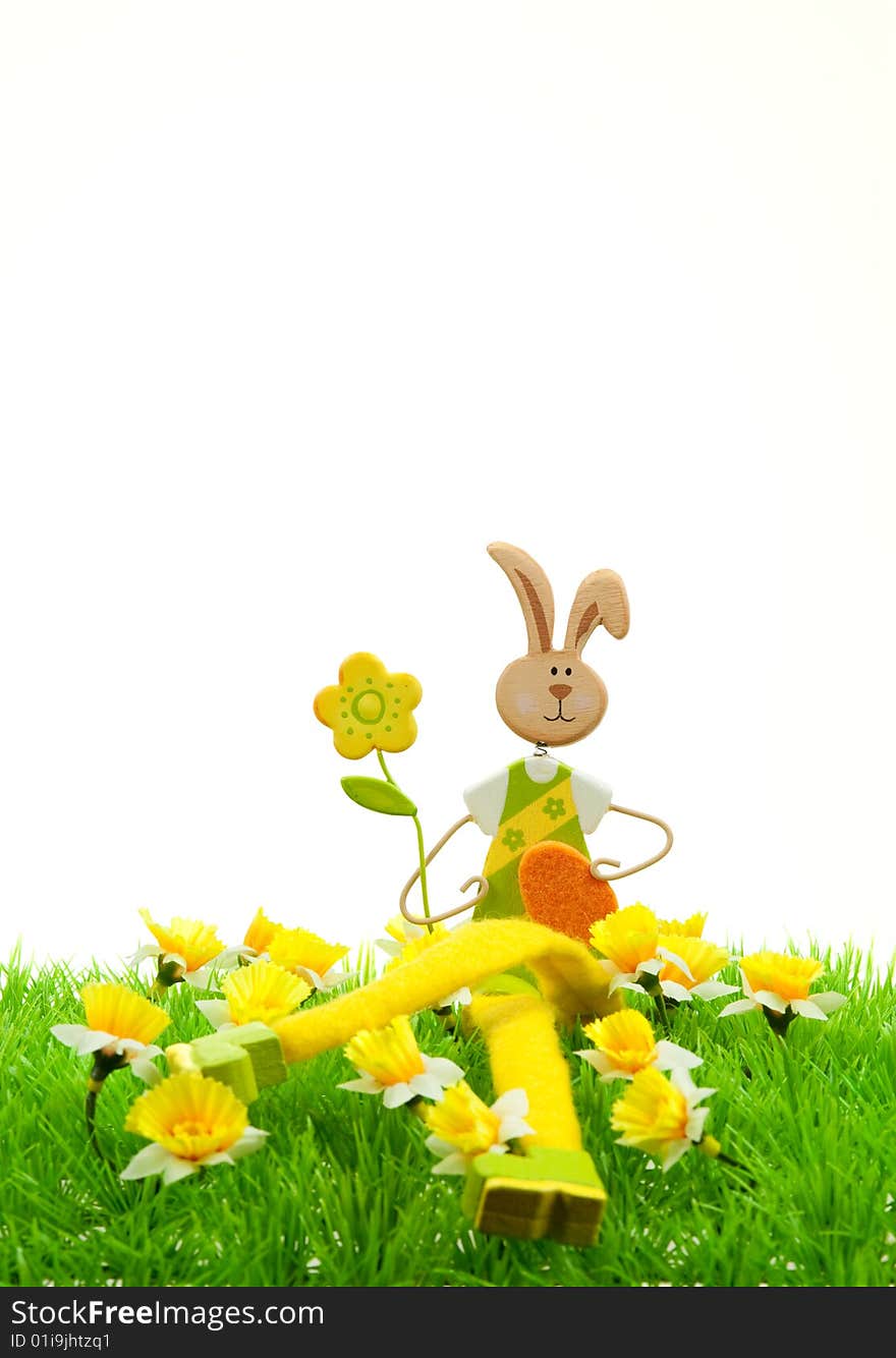 Cute easter bunny with on grass in spring