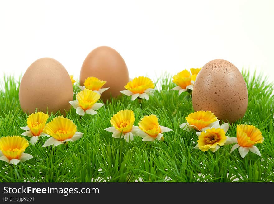 Easter eggs in spring isolated on a white background