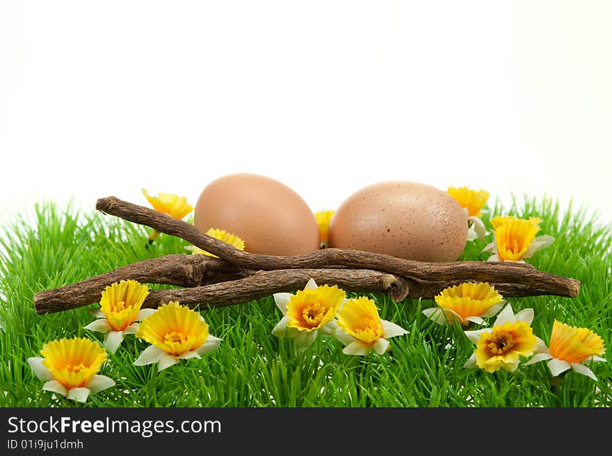 Easter eggs in spring isolated on a white background