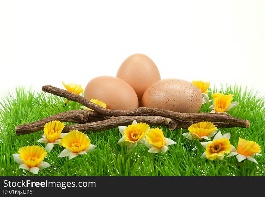 Easter eggs in spring isolated on a white background