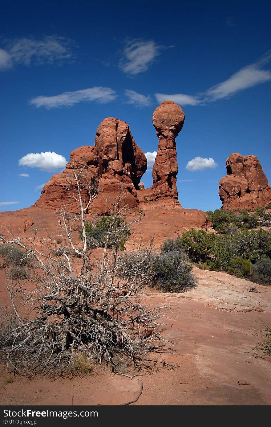 Arches national park