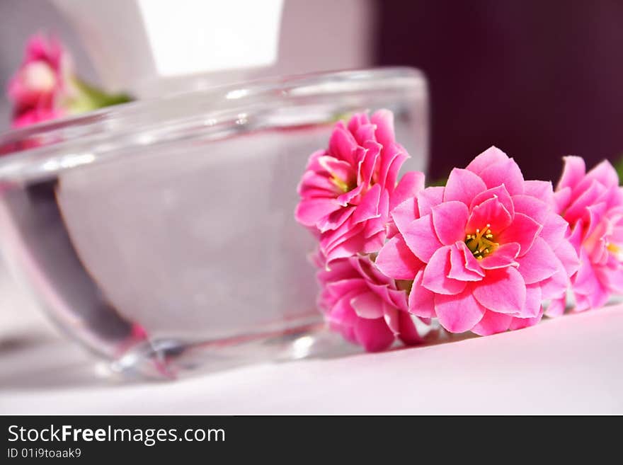 Perfume bottle with red flowers with reflection. Perfume bottle with red flowers with reflection