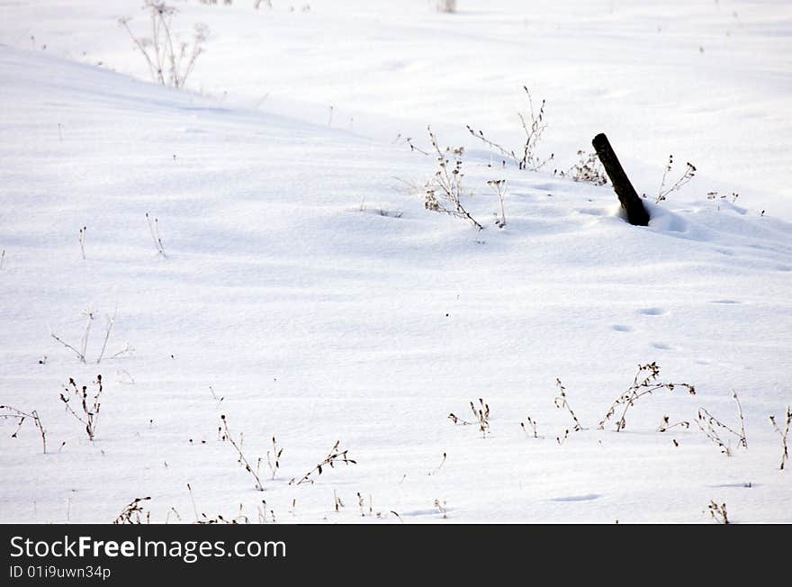 Winter fields covered with snow. Winter fields covered with snow.