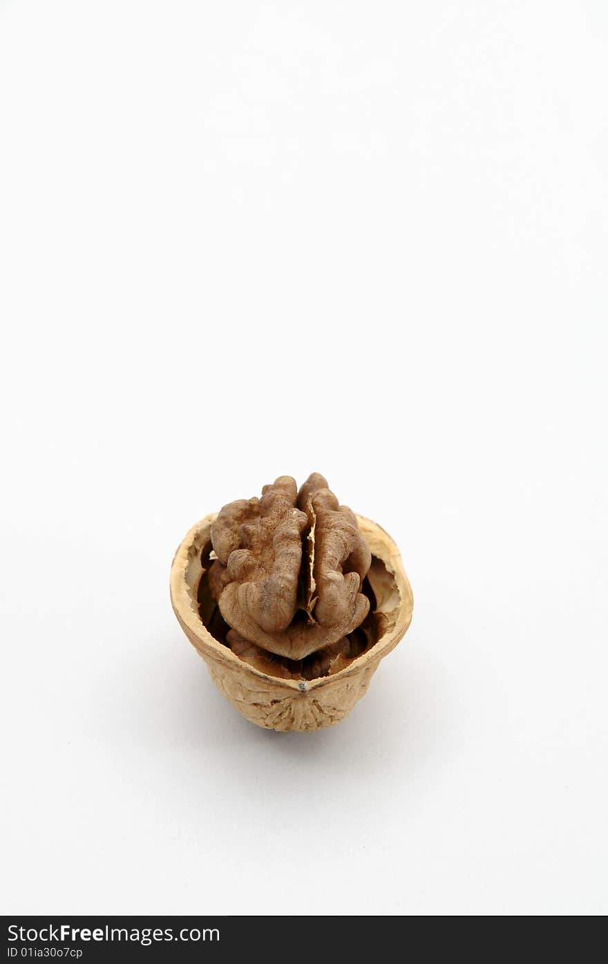 Open walnut against white background