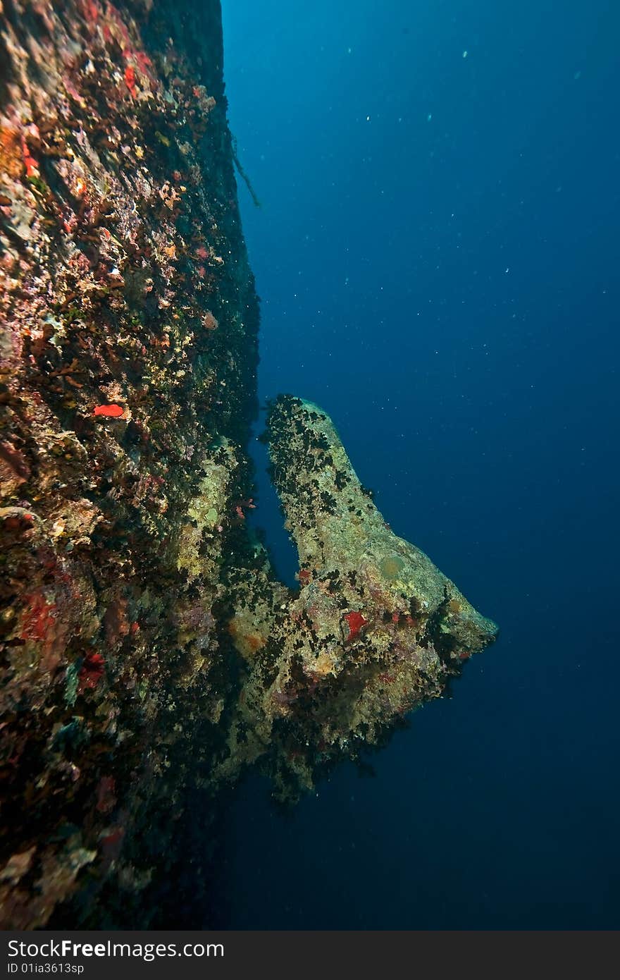 Port side hill anchor of the Thistlegorm