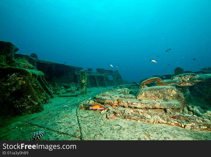 Wreck Thistlegorm 1941 taken in the red sea. Wreck Thistlegorm 1941 taken in the red sea.